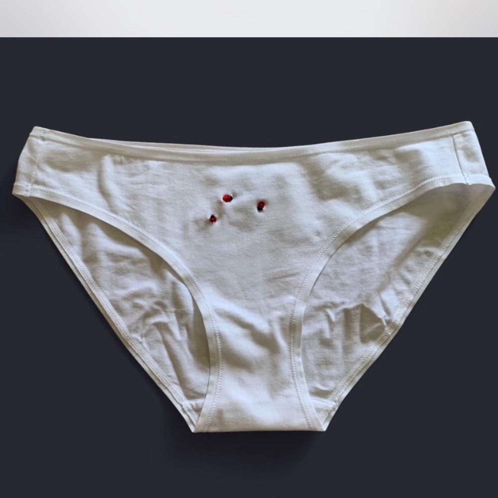 Vintage inspired hand embroidered ladybug underwear.